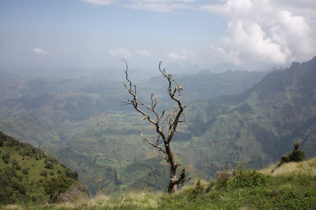 Simienberge